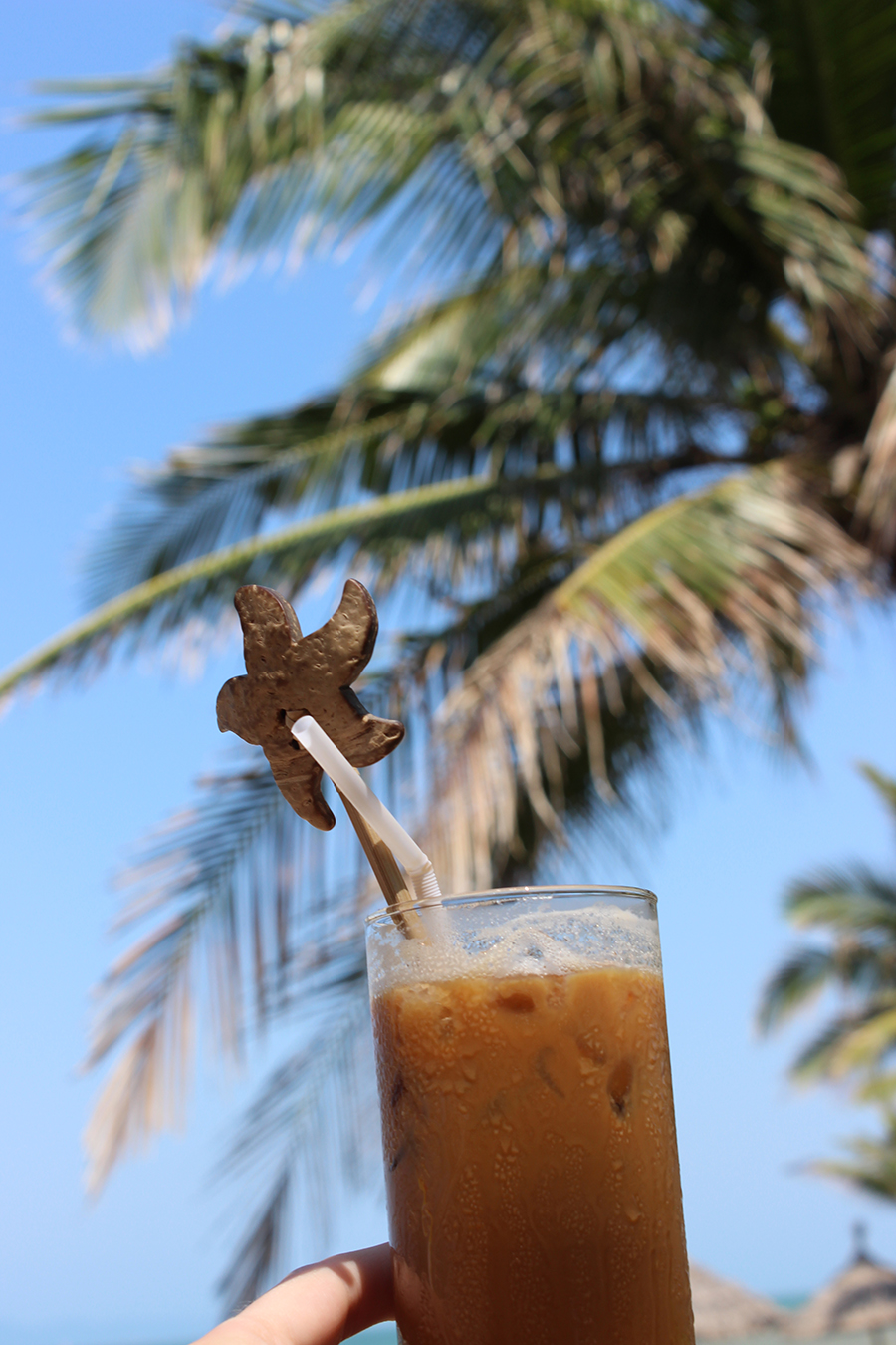 Clutch and Carry on - travel blog vietnam - ice coffee