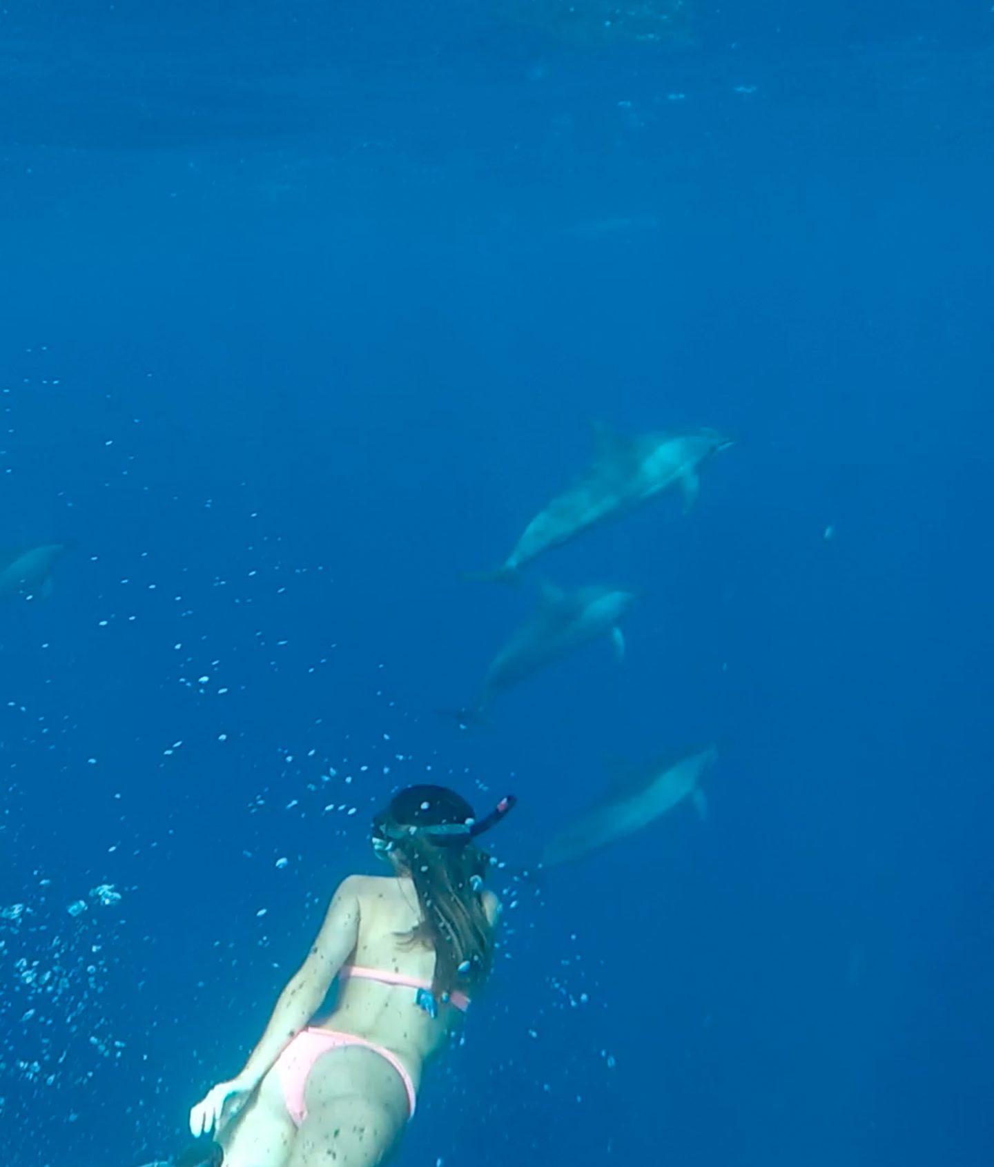 1. Sabrina Chakici - clutchandcarryon.com - Swiming with Dolphins Mauritius (1 of 1)