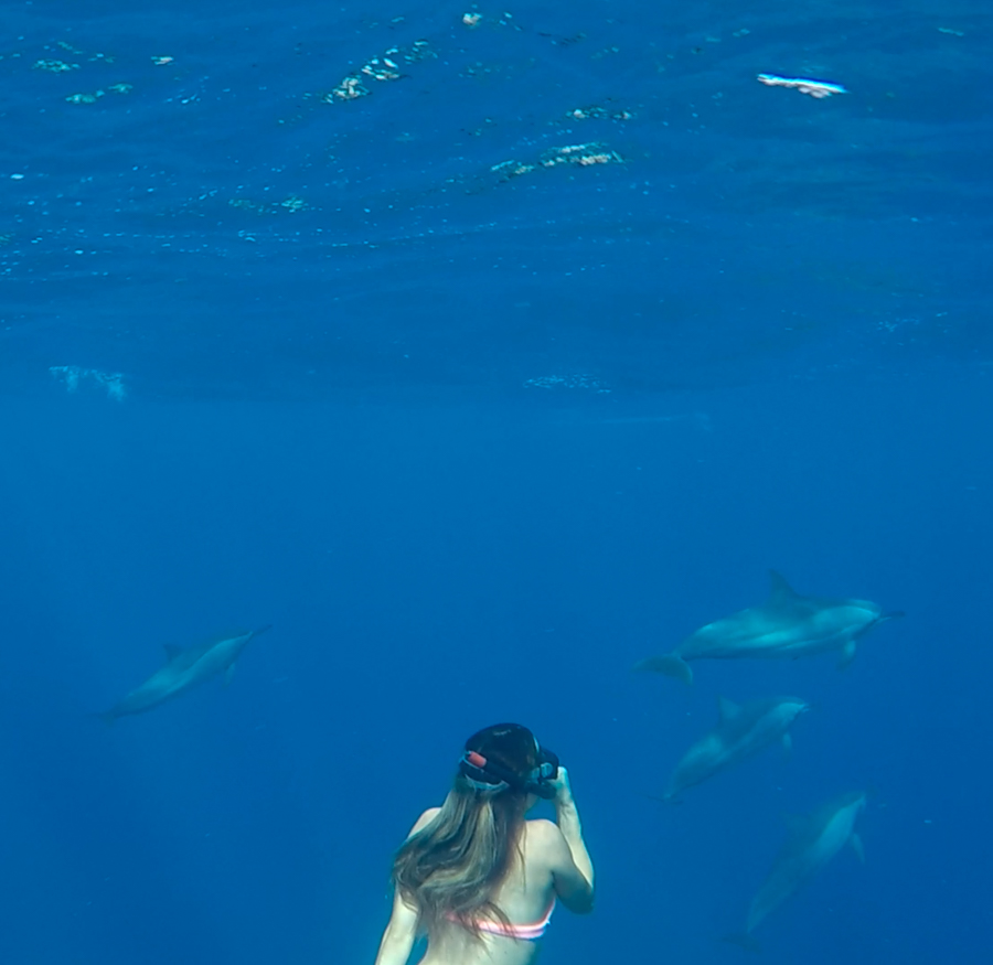Sabrina Chakici - clutchandcarryon.com - Swiming with Dolphins Mauritius (13 of 20)