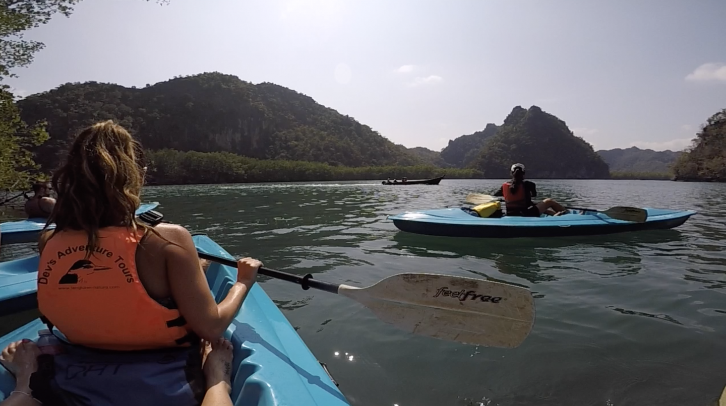 Mangrove kayacking langkawi malaysia 1