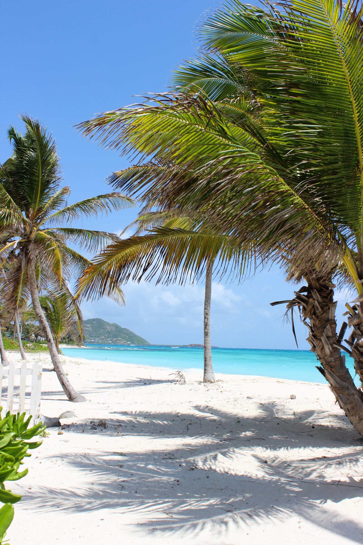 Clutch and carry on - UK Travel blogger - palm island resort, grenadines (108 of 361)