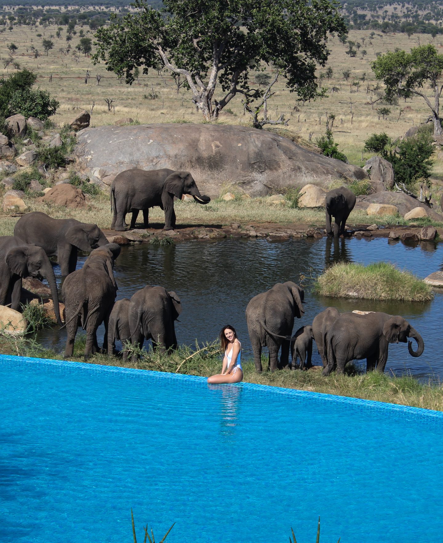 Four Seasons Serengeti, best safari in the world