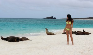 The Galapagos travel blog, tblogger, travel blog, clutch & carry-on, floggers,