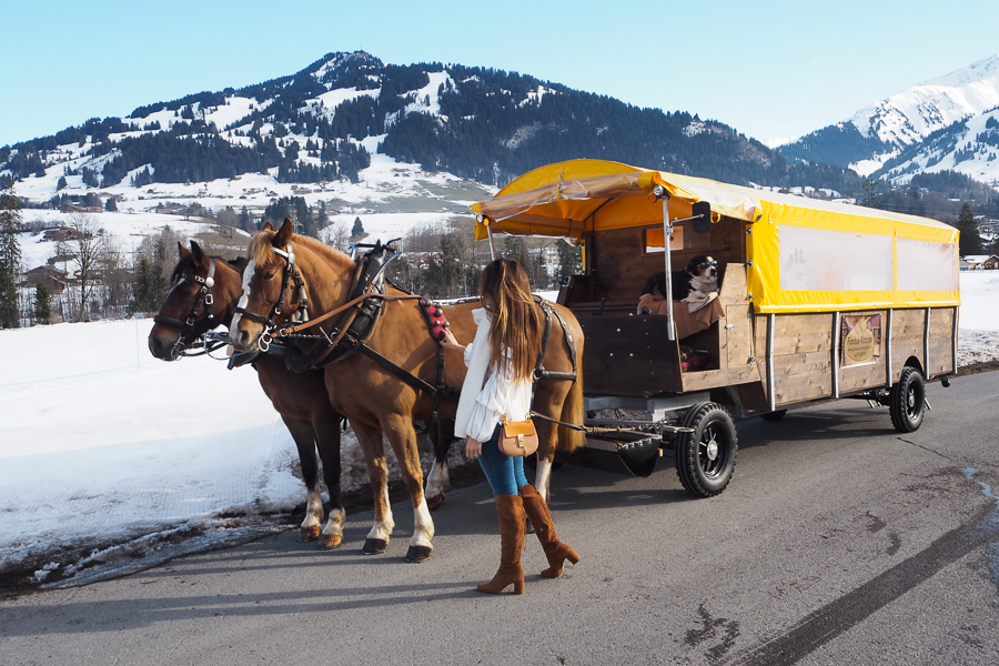 12 Things to do in Gstaad in Winter