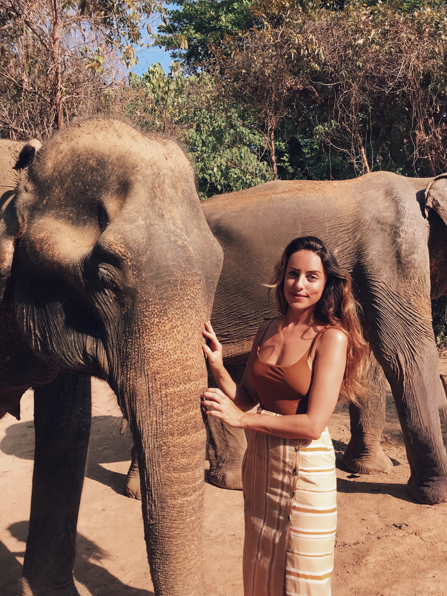 Elephant Jungle 'Sanctuary' Phuket - The Truth - Clutch & Carry-On