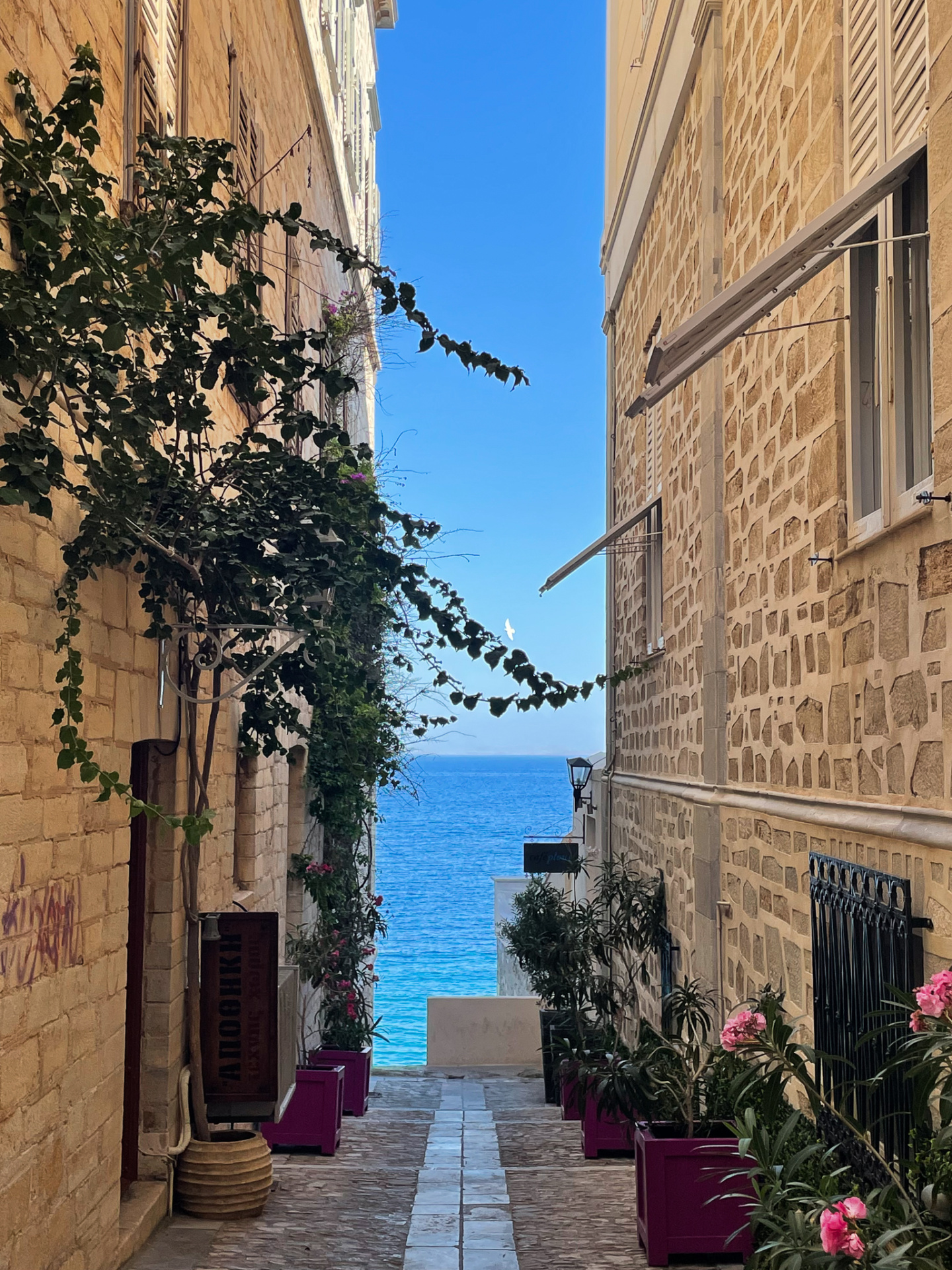 Syros Travel Guide - Things to do in Syros - Syros Blog
